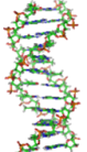 DNA Stränge DNA