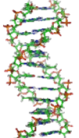 DNA Stränge DNA