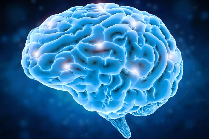 Gehirn bewusst umprogrammieren bewusst neue neuronale Verbindungen erschaffen